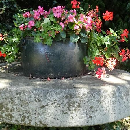 Apartament Le Glycine A Manoir Sainte Cecile Juvigny-Val-d'Andaine Zewnętrze zdjęcie