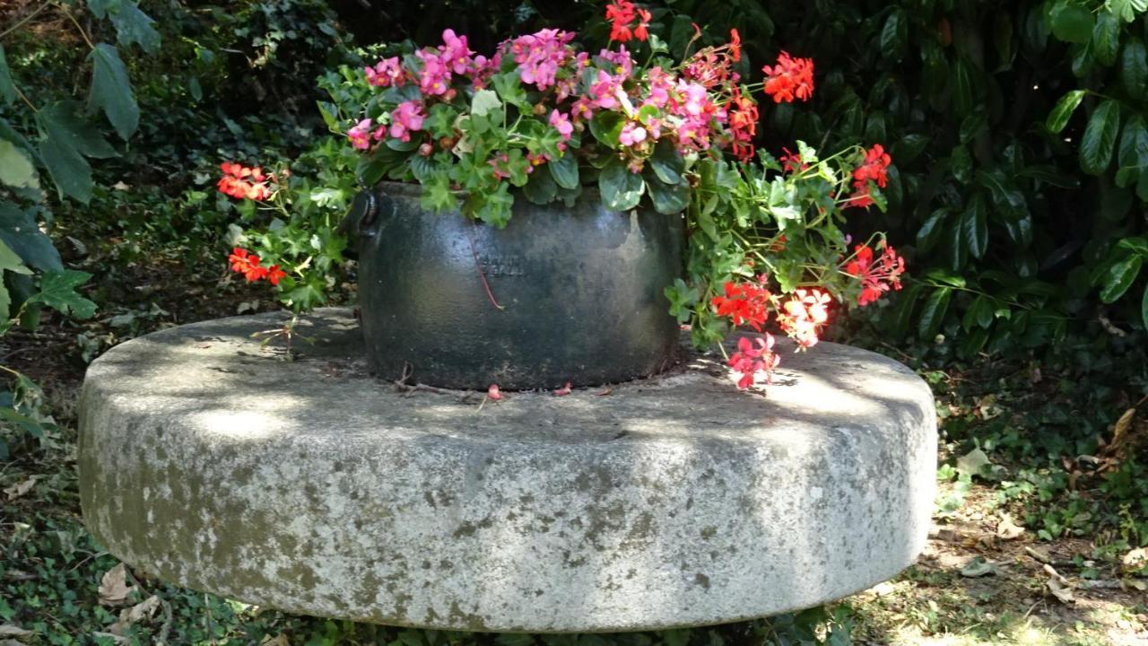 Apartament Le Glycine A Manoir Sainte Cecile Juvigny-Val-d'Andaine Zewnętrze zdjęcie